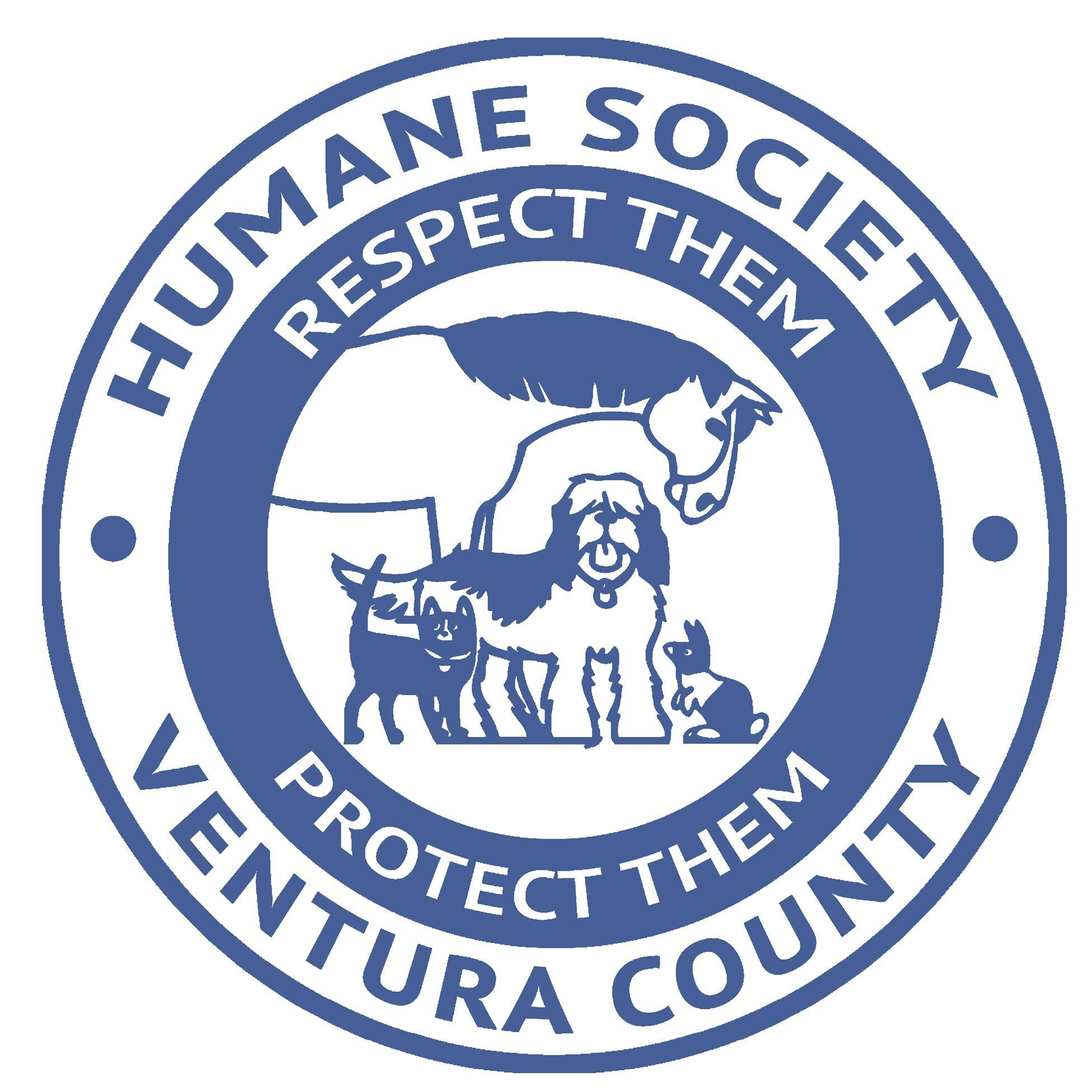 Organization's Logo