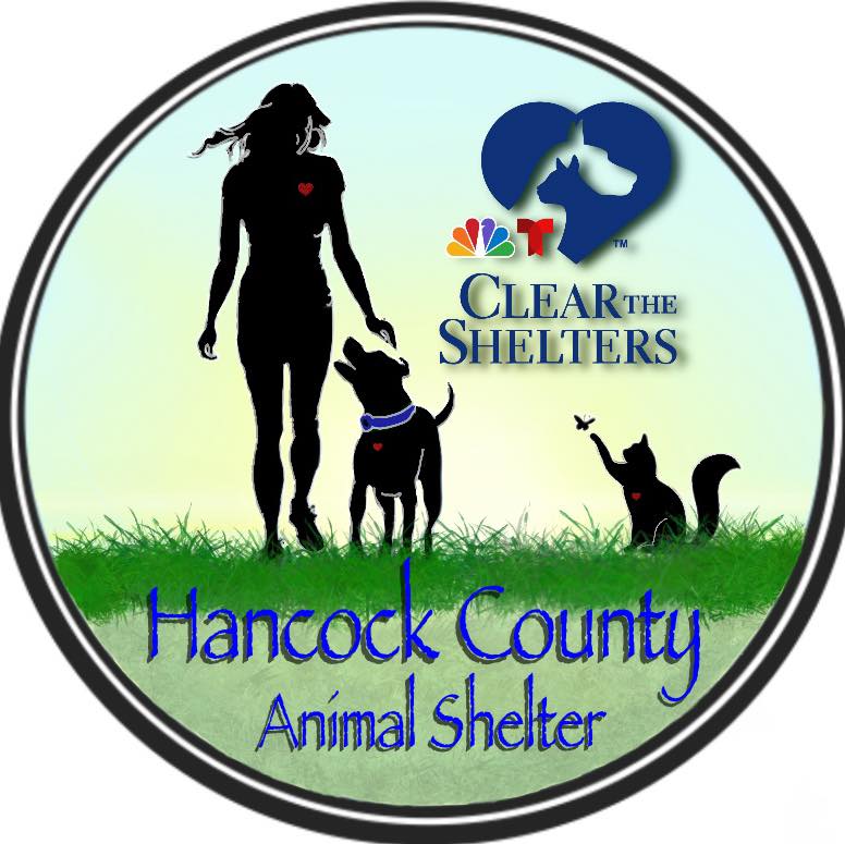 Logo for Hancock County Animal Shelter WV