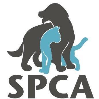 Organization's Logo