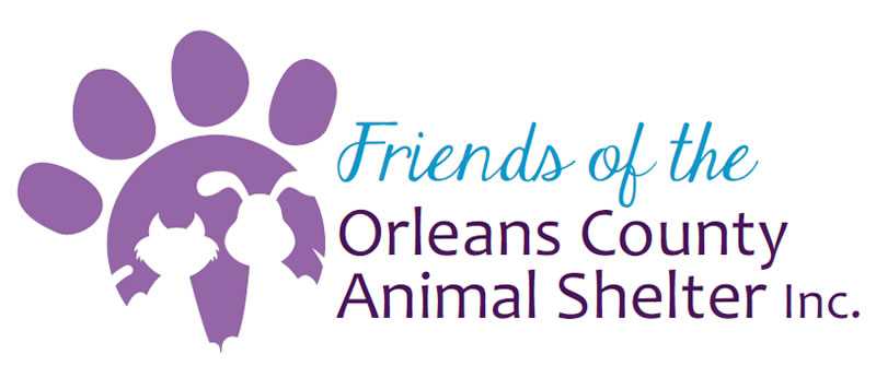 Donate to Friends of the Orleans County Animal Shelter | Kuranda ShelterBeds Donate to Friends of the Orleans County Animal Shelter | Kuranda ShelterBeds