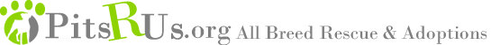 Organization's Logo
