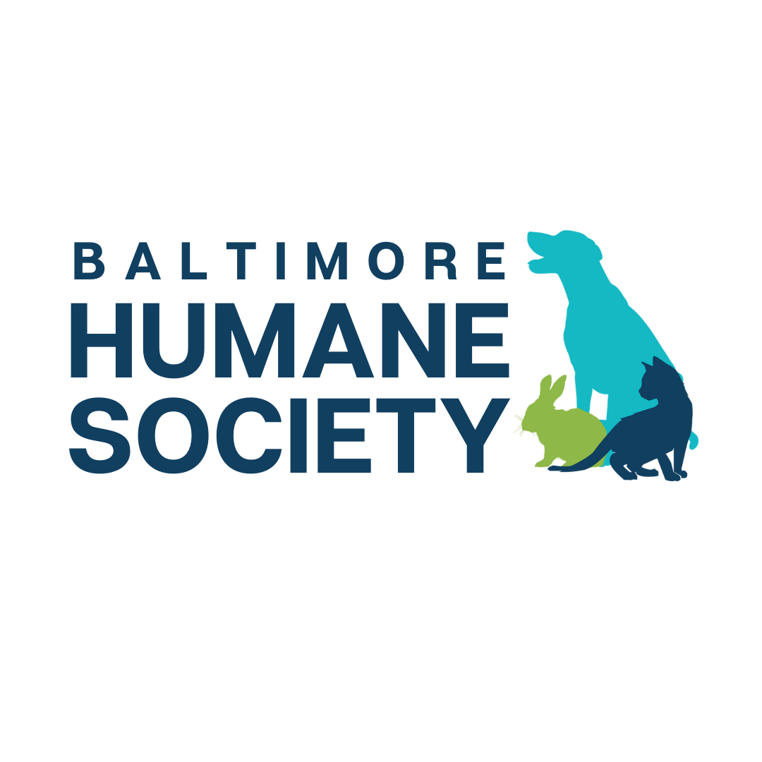 Organization's Logo