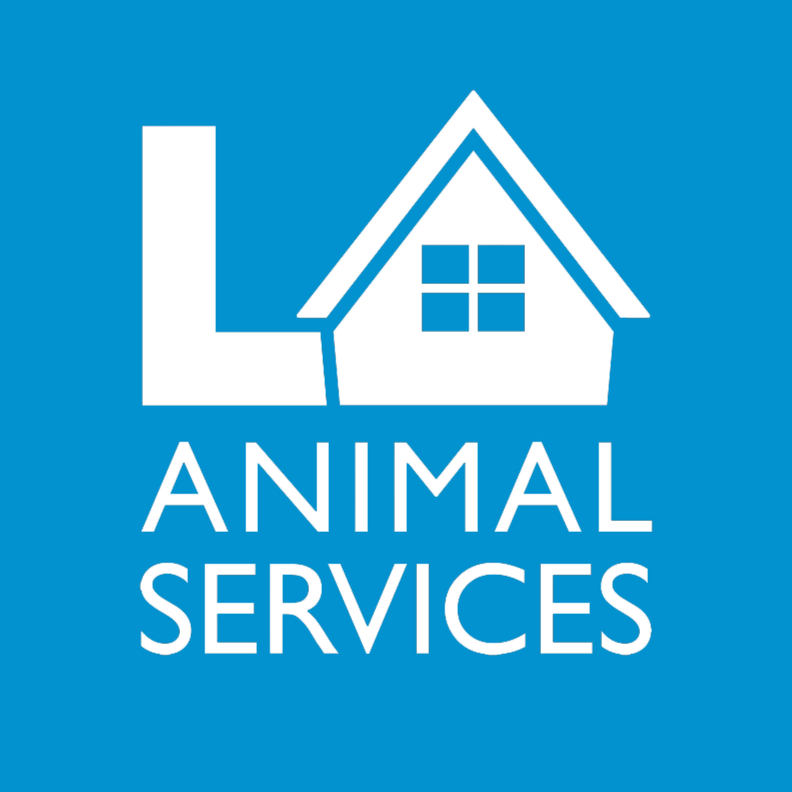 Organization's Logo