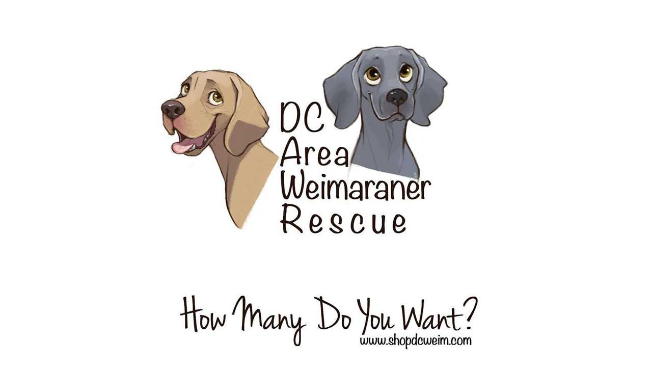 Logo for DC Area Weimaraner Rescue