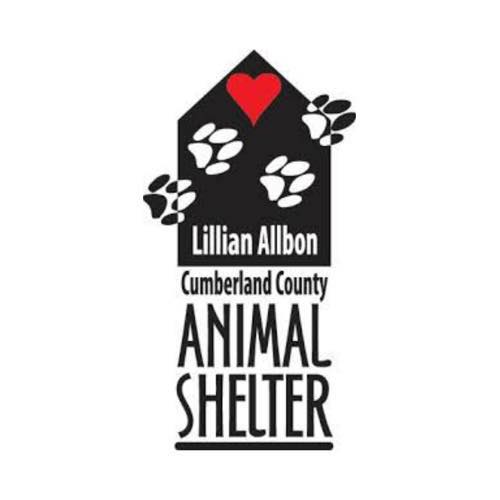 Organization's Logo