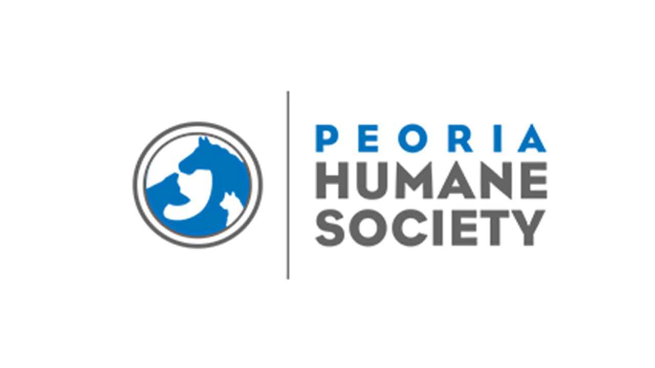 Organization's Logo