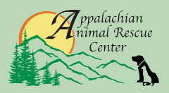 Organization's Logo