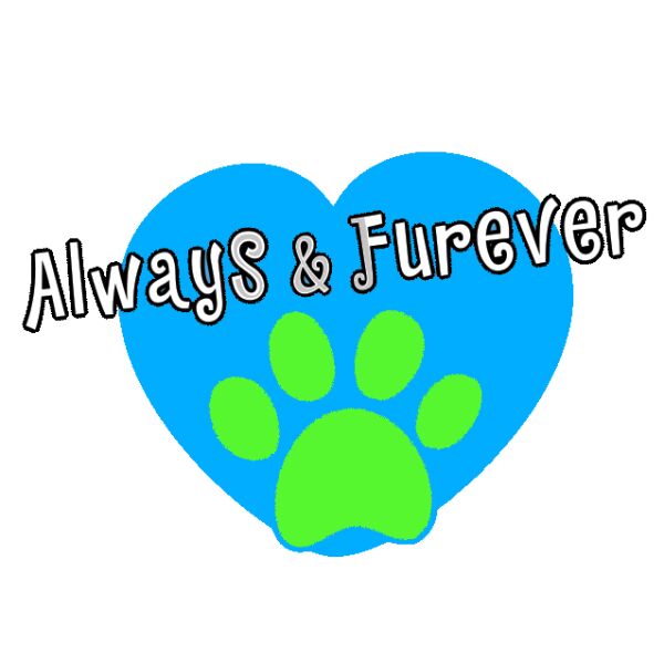 Logo for Always & Furever Midwest Animal Sanctuary