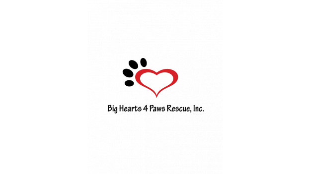 Organization's Logo