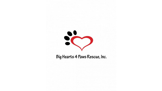 Logo for Big Hearts 4 Paws Rescue