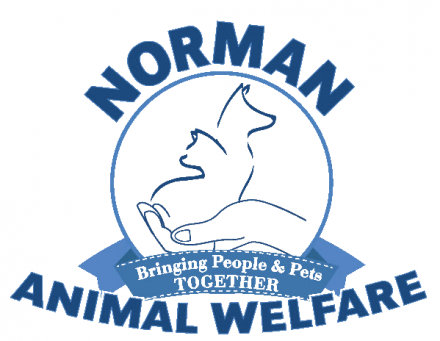 Organization's Logo
