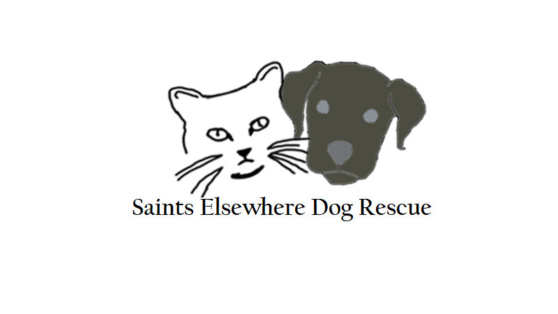 Donate to Saints Elsewhere Dog Rescue | Kuranda ShelterBeds
