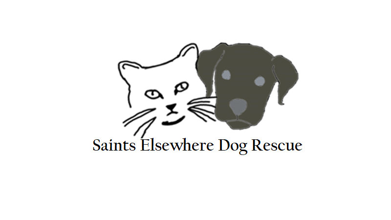 Donate to Saints Elsewhere Dog Rescue | Kuranda ShelterBeds Donate to Saints Elsewhere Dog Rescue | Kuranda ShelterBeds