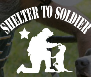 Organization's Logo