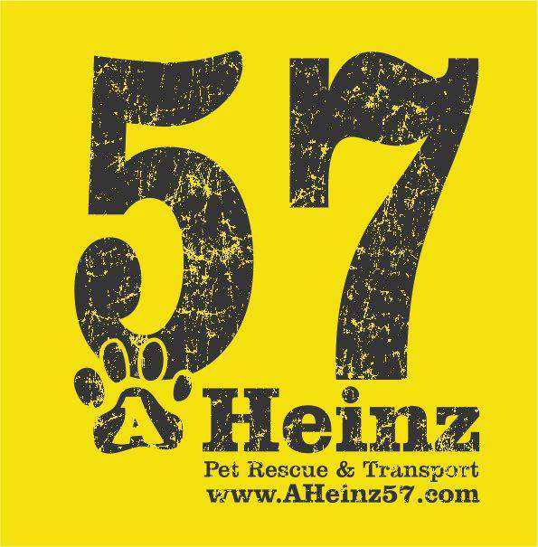 Organization's Logo