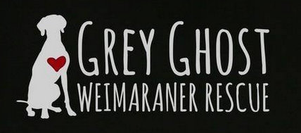 Logo for Grey Ghost Weimaraner Rescue