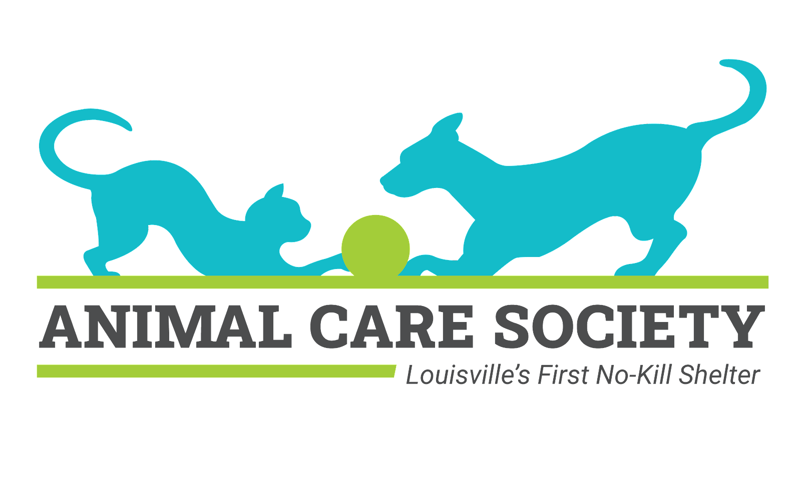 Organization's Logo