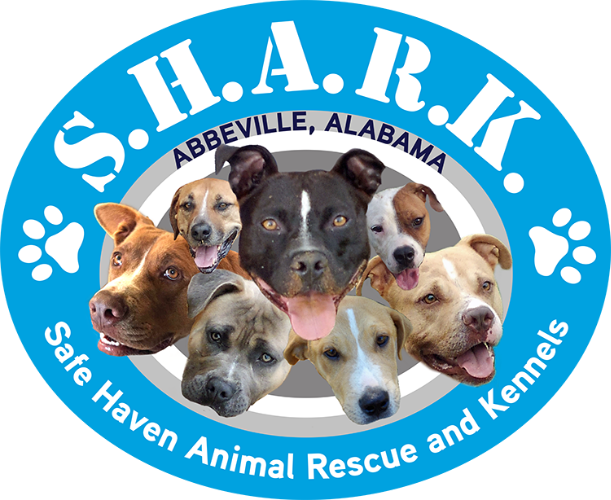 Logo for S.H.A.R.K. Safe Haven Animal Rescue and Kennel