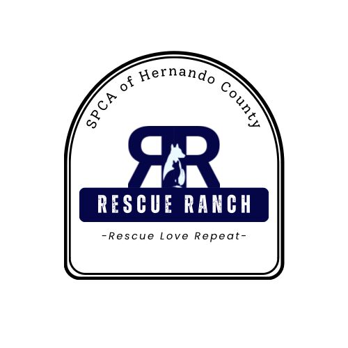 Logo for SPCA of Hernando County