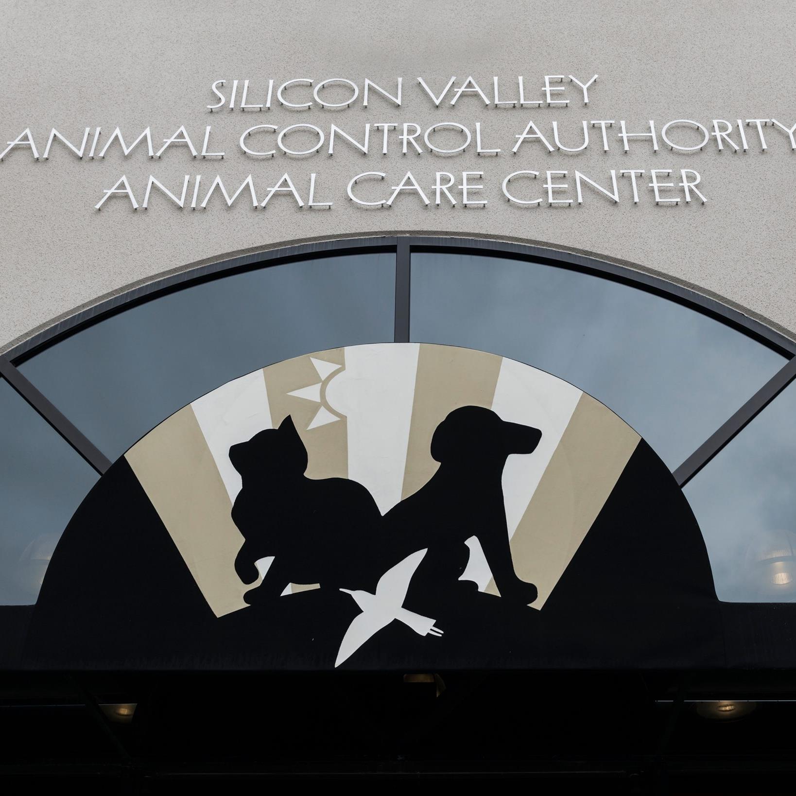 Logo for Silicon valley animal control authority