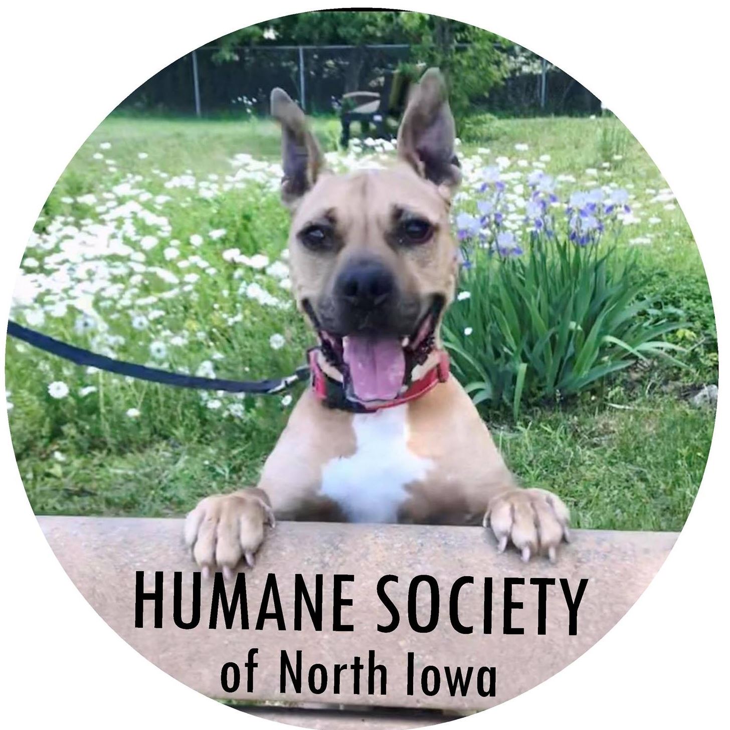 Donate to Humane Society of North Iowa Kuranda ShelterBeds
