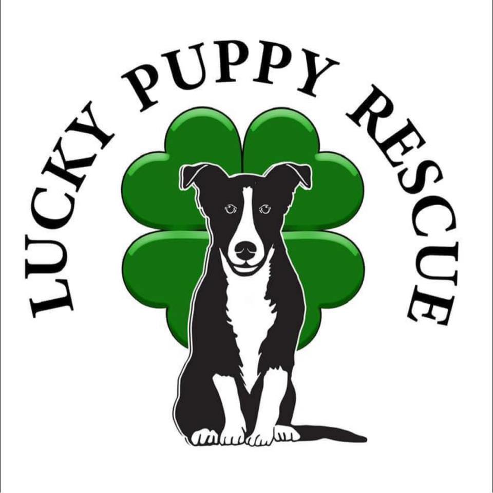 Logo for Lucky Puppy Rescue - NY / Great Beginnings Adoption Center