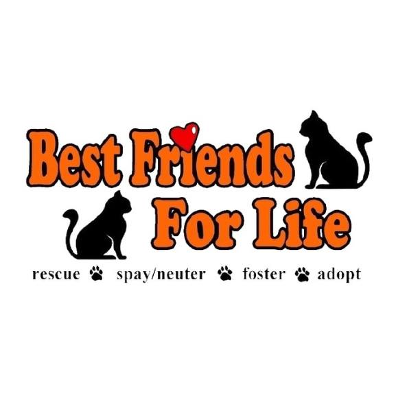 Logo for Best Friends for Life