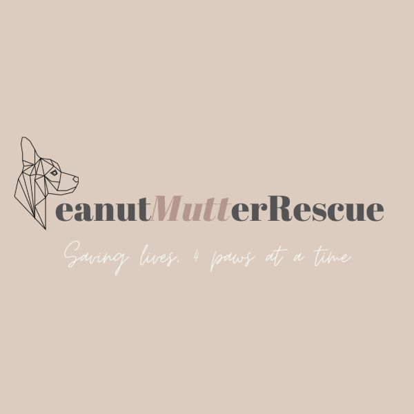 Logo for Peanut Mutter Rescue