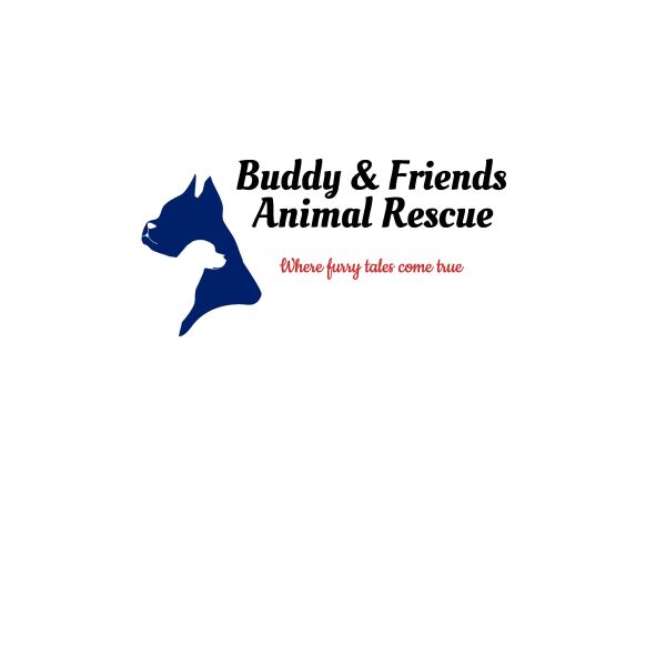 Logo for Buddy and Friends Animal Rescue