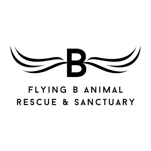 Logo for Flying B Animal Rescue & Sanctuary