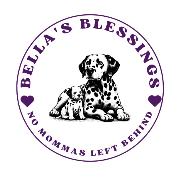 Logo for Bella's Blessings