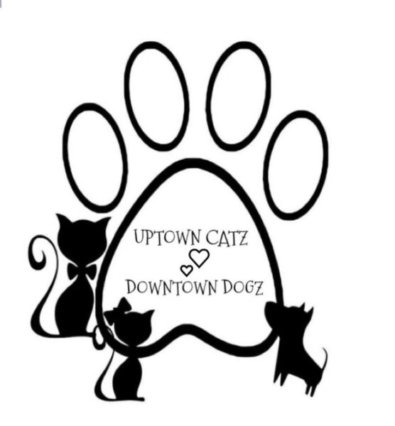 Logo for Gemini Pet Rescue & Transport (Uptown Catz & Downtown Dogz)