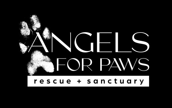 Logo for Angels for Paws Rescue + Sanctuary
