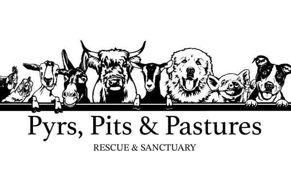 Logo for Pyrs Pits & Pastures Resue & Sanctuary