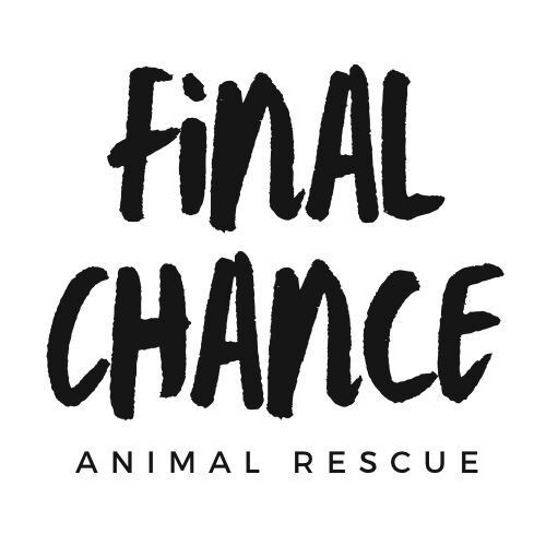 Logo for Final Chance Animal Rescue