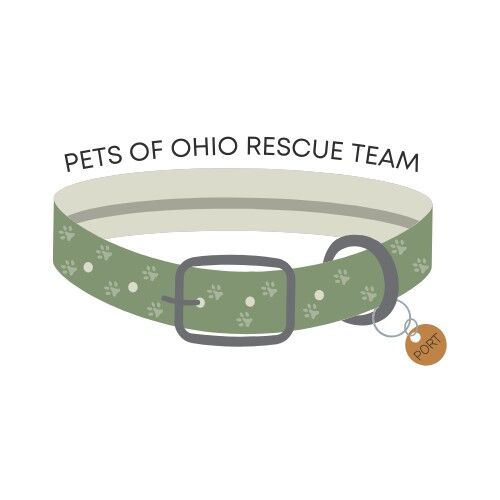 Logo for Pets of Ohio Rescue Team