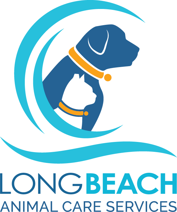 Organization's Logo