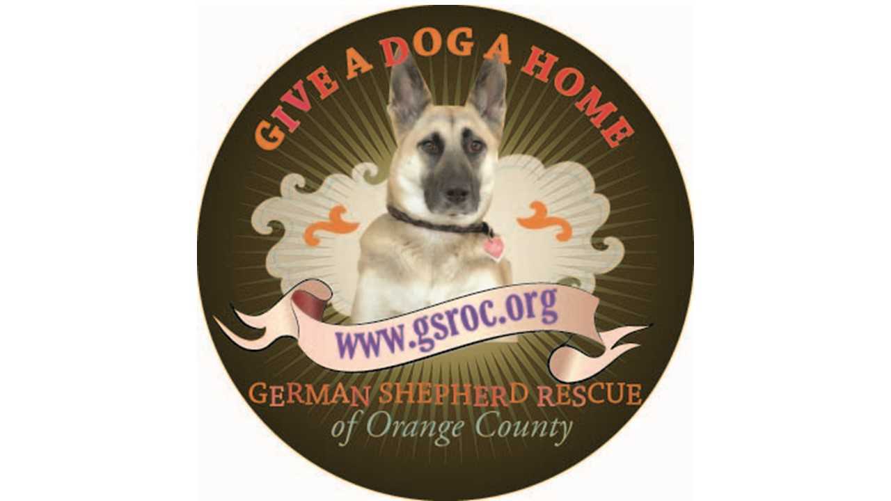 Logo for German Shepherd Rescue Of Orange County