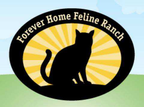 Logo for Forever Home Feline Ranch