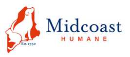 Organization's Logo