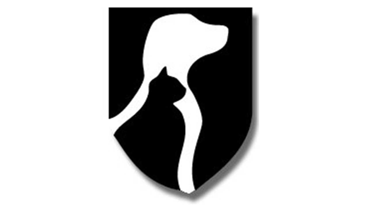 Organization's Logo