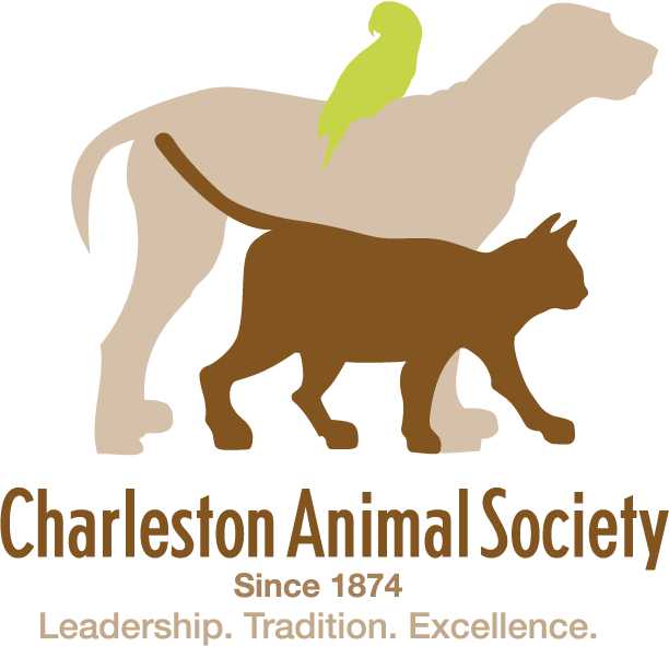 Organization's Logo