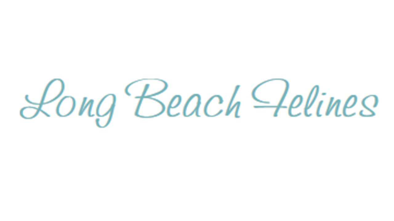 Organization's Logo