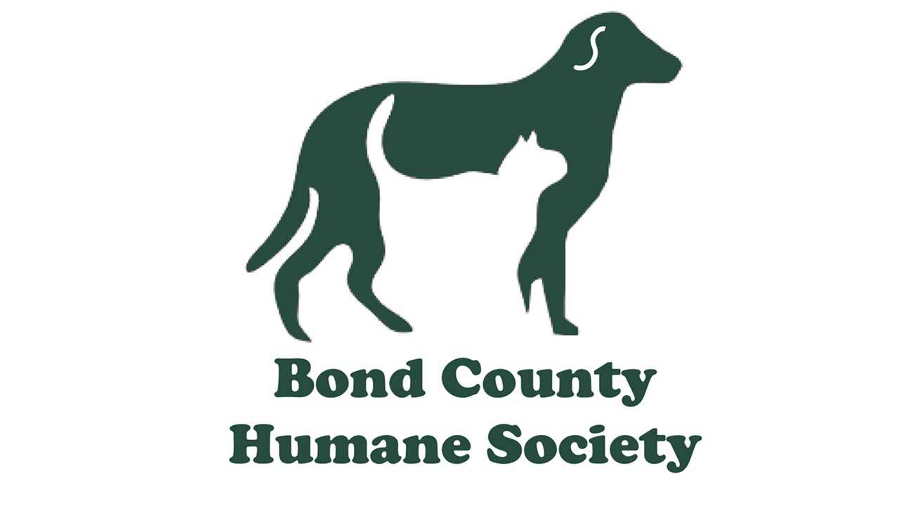Organization's Logo