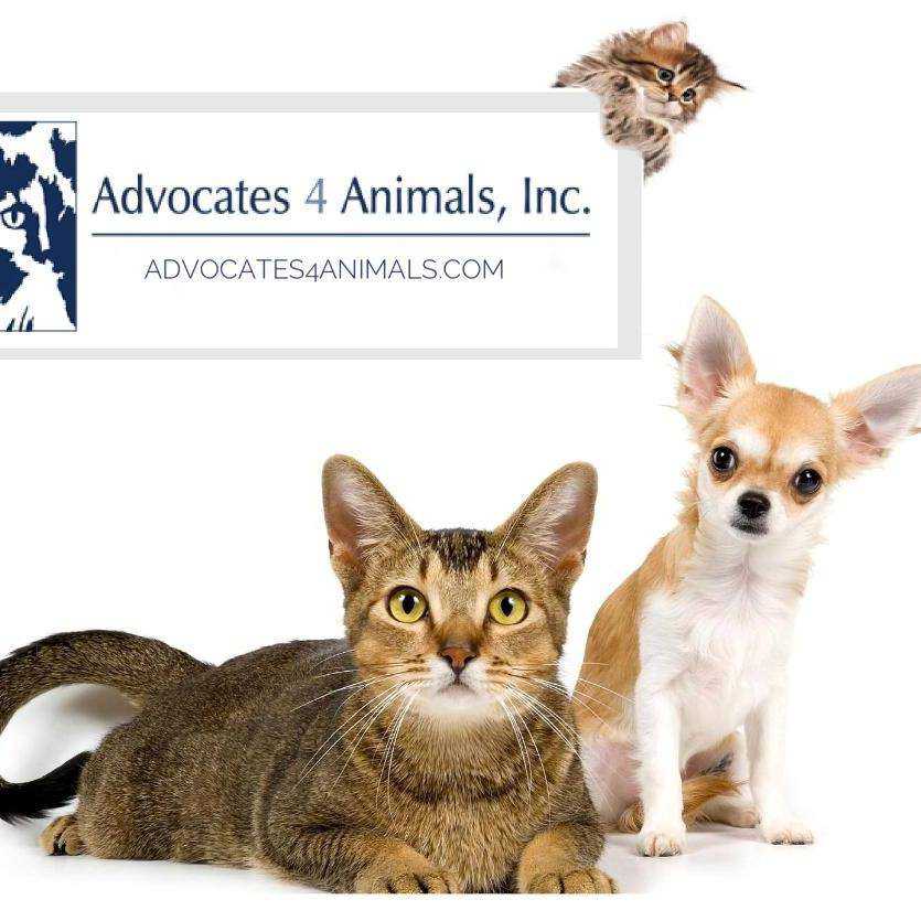 Logo for Advocates 4 Animals Rescue