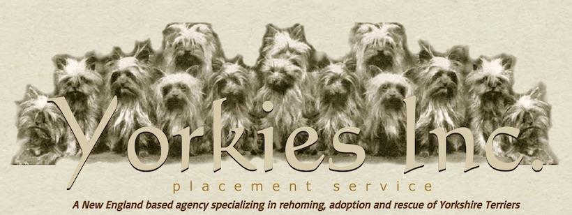 Logo for Yorkies Inc. Placement Service