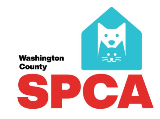 Organization's Logo