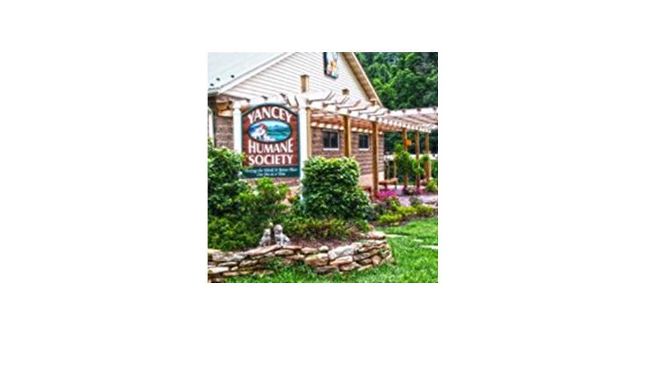Logo for Yancey County Humane Society