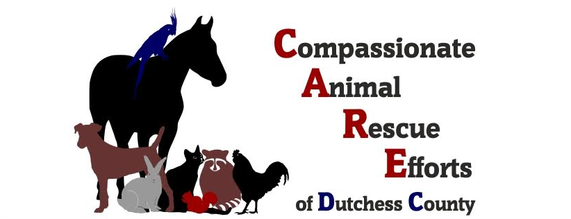 Logo for C.A.R.E. - Compassionate Animal Rescue Efforts Of Dutchess County