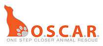 Organization's Logo